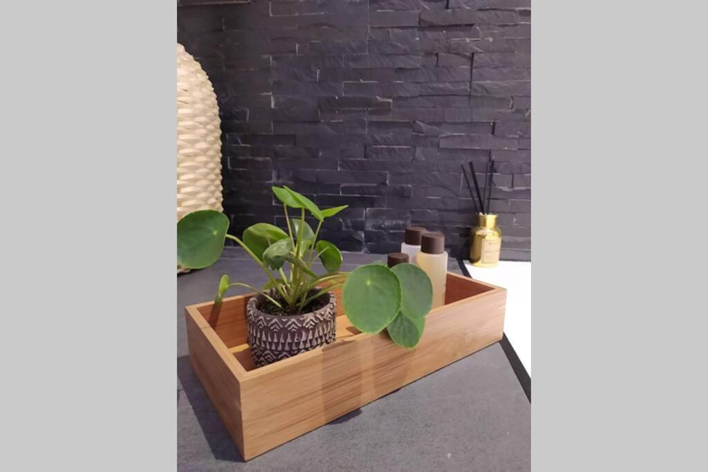 Elegante Open Space Con Vasca Idromassaggio A Trastevere Екстериор снимка